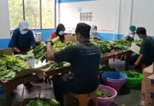 196 Orang Keracunan MBG di Sragen, BGN Tingkatkan SOP Penyajian Makanan