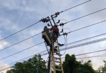 PLN Batam Sebut Layangan dan Pohon Tumbang Picu Listrik Padam di Sei Beduk
