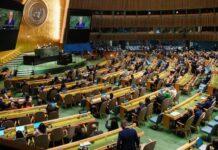 Dukungan Negara-negara Bergema di PBB untuk Negara Palestina