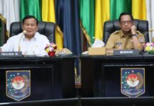 Presiden Banggakan Inflasi 2%, Ini Cara Kemendagri Jaga Stabilitas Harga
