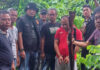 Kesal Buah Sawitnya Sering Hilang, Petani di Muba Tembak Mati Diduga Pencuri