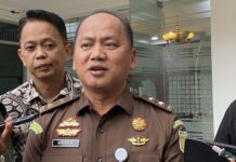 Satgas PKH Usut Kayu Illegal Logging di Mentawai Dikirim ke Jepara
