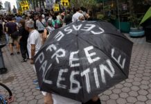 Hamas Kaji Proposal 20 Poin Rencana Trump Akhiri Perang di Gaza