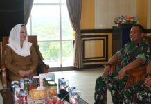 Danlanud RSA Courtesy Call ke Bupati Natuna, Perkuat Sinergitas Antar Lembaga