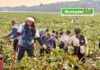 Aksi Bersih Waduk Duriangkang, BP Batam Ajak Warga Jaga Sumber Air Kota