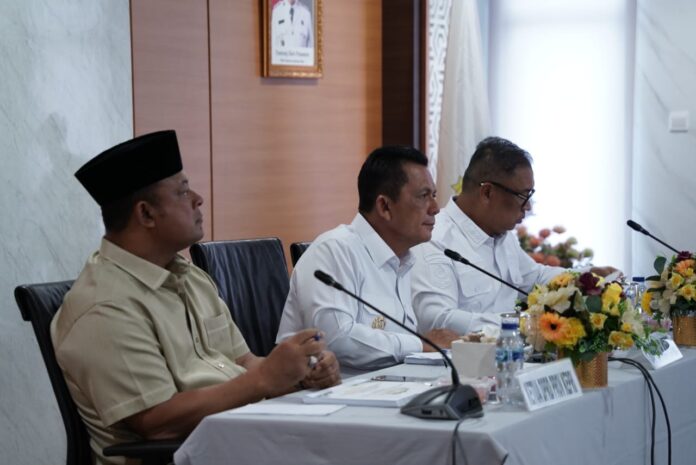 Gubernur Ansar Nataru