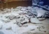 Curah Hujan Tinggi, Maninjau Sumbar Kembali Dilanda Banjir Bandang