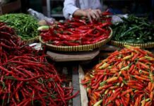 Banjir Sumatera Sebabkan Harga Cabai di Batam Naik