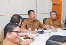 Atraksi Udara hingga Hiburan Rakyat Warnai Hari Jadi Batam ke-196