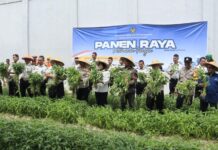 Dukung Program Aksi Menteri Imipas 2026, Lapas Batam Sukseskan Panen Raya Serentak