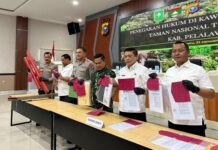 Penumbangan Sawit di Lahan 270 Ha Tesso Nilo Ditarget Maret 2026