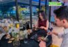 Rayakan Valentine dengan Makan Malam Romantis di Ketinggian Yello Hotel Harbour Bay Batam