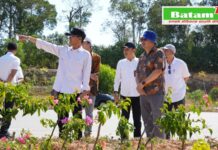 Hari Pertama Kerja, Amsakar Achmad Tinjau Sejumlah Proyek Pembangunan