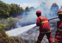 Karhutla 12 Hektare di Natuna Berhasil Dipadamkan, Penyebab Masih Diselidiki