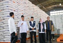 Wagub Kepri Tinjau Pelabuhan dan Gudang Bulog, Pastikan Mudik Lancar serta Stok Beras Aman