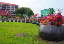 BP Batam Sebut Penataan Pot Bougenville Perkuat Estetika Kota Tanpa Bebani Keuangan Negara
