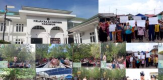 Sinergi Penegakan Hukum dan Kepedulian Warga, Napas Baru bagi Mangrove Sugie