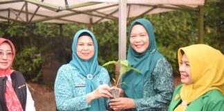 Pemprov Kepri Salurkan 40 Ribu Bibit Cabai, Dorong Ketahanan Pangan Rumah Tangga