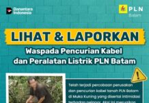 PLN Batam Imbau Warga Waspadai Pencurian Kabel Listrik, Ajak Aktif Laporkan Aktivitas Mencurigakan