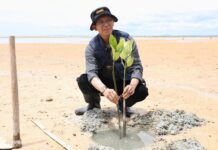 Aksi Menyelamatkan Bumi, Wali Kota bersama Mahasiswa Batam Tanam 2.000 Mangrove