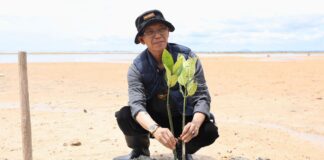 Aksi Menyelamatkan Bumi, Wali Kota bersama Mahasiswa Batam Tanam 2.000 Mangrove