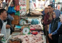 Jelang Iduladha, Sekda Kepri Pantau Stabilitas Harga Bahan Pokok di Pasar Bintan Center