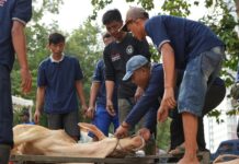 BP Batam Sembelih 33 Hewan Kurban Tingkatkan Kepedulian Sosial