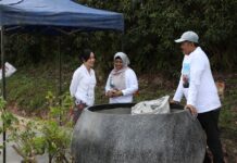 BP Batam Kecam Perusakan Tanaman Bugenvil, Ariastuty Ajak Warga Jaga Keindahan Kota