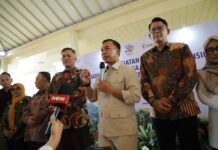Kemendukbangga Minta Pemda Hentikan FGD dan Fokus Penanganan Stunting