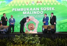 Gubernur Ansar Buka Persidangan Sosek Malindo ke-22, Perkuat Kerja Sama Perbatasan RI-Malaysia