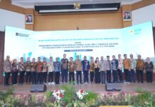Swedia Perkuat Pasokan Listrik untuk Investasi Strategis di Batam