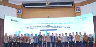 Swedia Perkuat Pasokan Listrik untuk Investasi Strategis di Batam