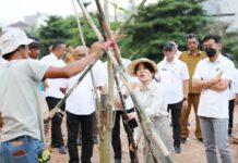 Li Claudia Tanam Pohon, Awali Penataan DAS Baloi Indah Jadi Ruang Terbuka Hijau