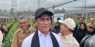 Mentan: Ekspor Satu Pintu Perkuat Posisi Tawar Komoditas Indonesia