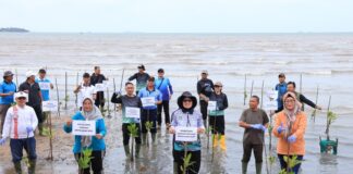 Peringatan Hari Mangrove Sedunia 2026, Pemprov Kepri Tanam Seribu Bibit di Pesisir Pulau Dombak