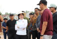 Li Claudia Tinjau Drainase dan PJU, Penanganan Banjir hingga Penerangan Jalan Dipercepat