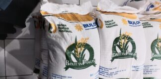 Mulai 17 Agustus, Pemerintah Salurkan 997 Ribu Ton Beras untuk 33,24 Juta KPM