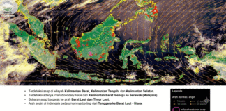 BMKG: 73,8 Persen Wilayah Indonesia Masuki Kemarau, Waspadai Karhutla