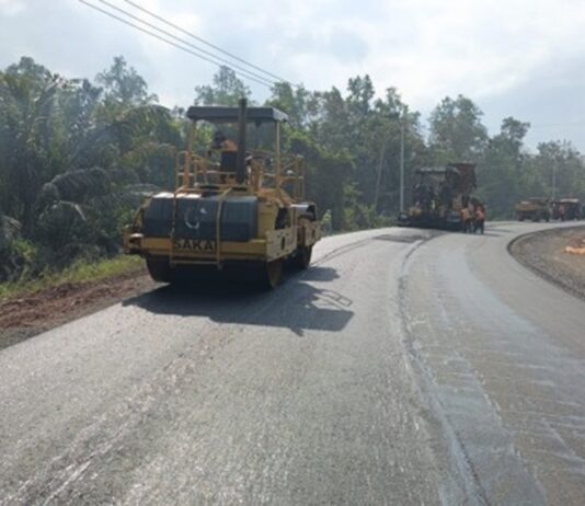 Pemerintah Genjot Pembangunan Jalan Dukung Pemerintahan di Papua Selatan
