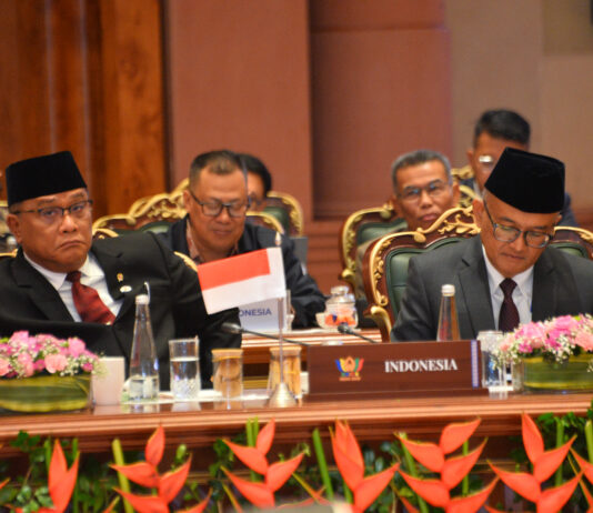 Indonesia Dorong Negara BRICS Wujudkan Aksi Nyata Tangani Krisis Iklim