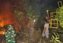 BNPB Perkuat Koordinasi Cegah Meluasnya Karhutla di Sejumlah Daerah