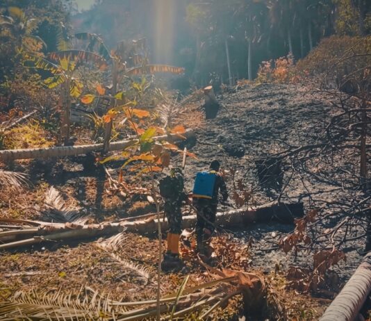 Karhutla 10 Hektare di Donggala Padam, Tim Gabungan Terus Lakukan Pemantauan