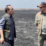 Tangani Dampak Gempa M7,7 di Nagekeo, BNPB Kerahkan Tim dan Helikopter