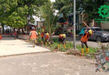 PLN Batam Percepat Pembangunan Gardu Baru di Senjulung, Antisipasi Beban Listrik Berlebih