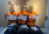 Bea Cukai Batam Gagalkan Penyelundupan 490 Gram Methamphetamine di Bandara Hang Nadim