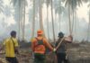 Dua Lokasi Karhutla di Kecamatan Gaung Ditangani, Penyebab Api Masih Diselidiki