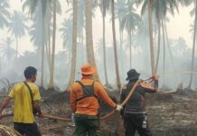 Dua Lokasi Karhutla di Kecamatan Gaung Ditangani, Penyebab Api Masih Diselidiki