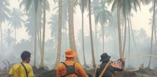Dua Lokasi Karhutla di Kecamatan Gaung Ditangani, Penyebab Api Masih Diselidiki