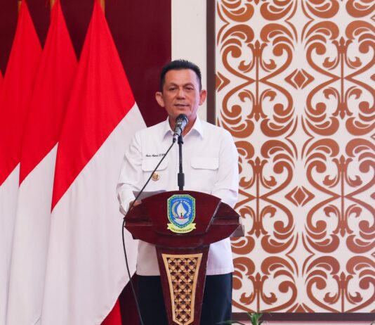 Gubernur Ansar Dorong Percepatan Cek Kesehatan Gratis di Kepri