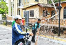 Gubernur Ansar Pimpin Goro di Penyengat, Dorong Kebersihan Pulau Bersejarah Tetap Terjaga
